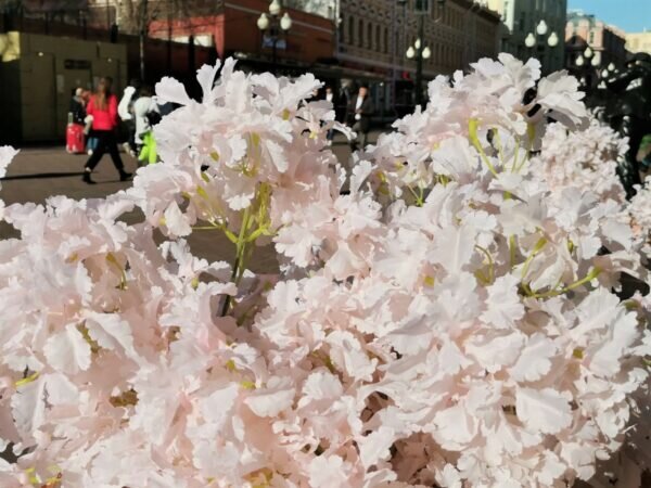    Фото: Никита Чудин. UG.RU