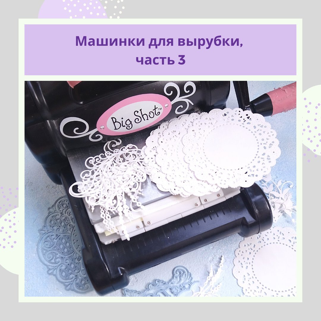 вырубка, автор фото Анна Шемякина