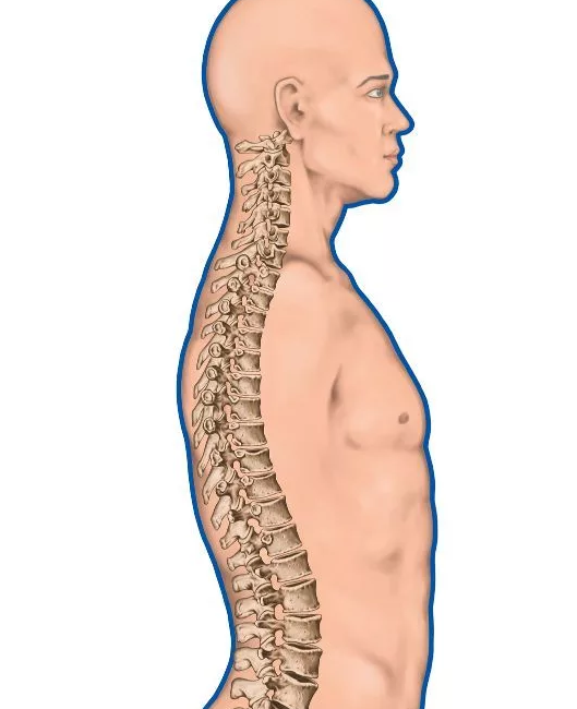 Nursing Education image #nurse #nurses #nursing #realnurse #nursepractitioner #j