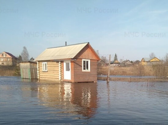     фото гу мчс по костромской области