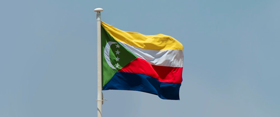 Photo by aboodi vesakaran under the Unsplash License