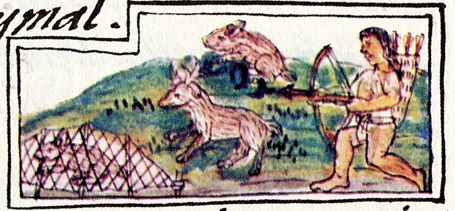 След охотники и собиратели. Медвежьи следы на реке самур. След охотники и собиратели. Неандертальцы зденека буриана. След охотники и собиратели.