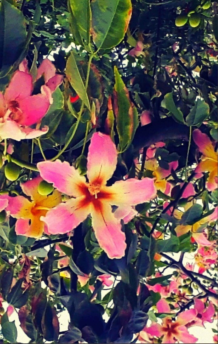 Весна. Фотография из личного архива автора