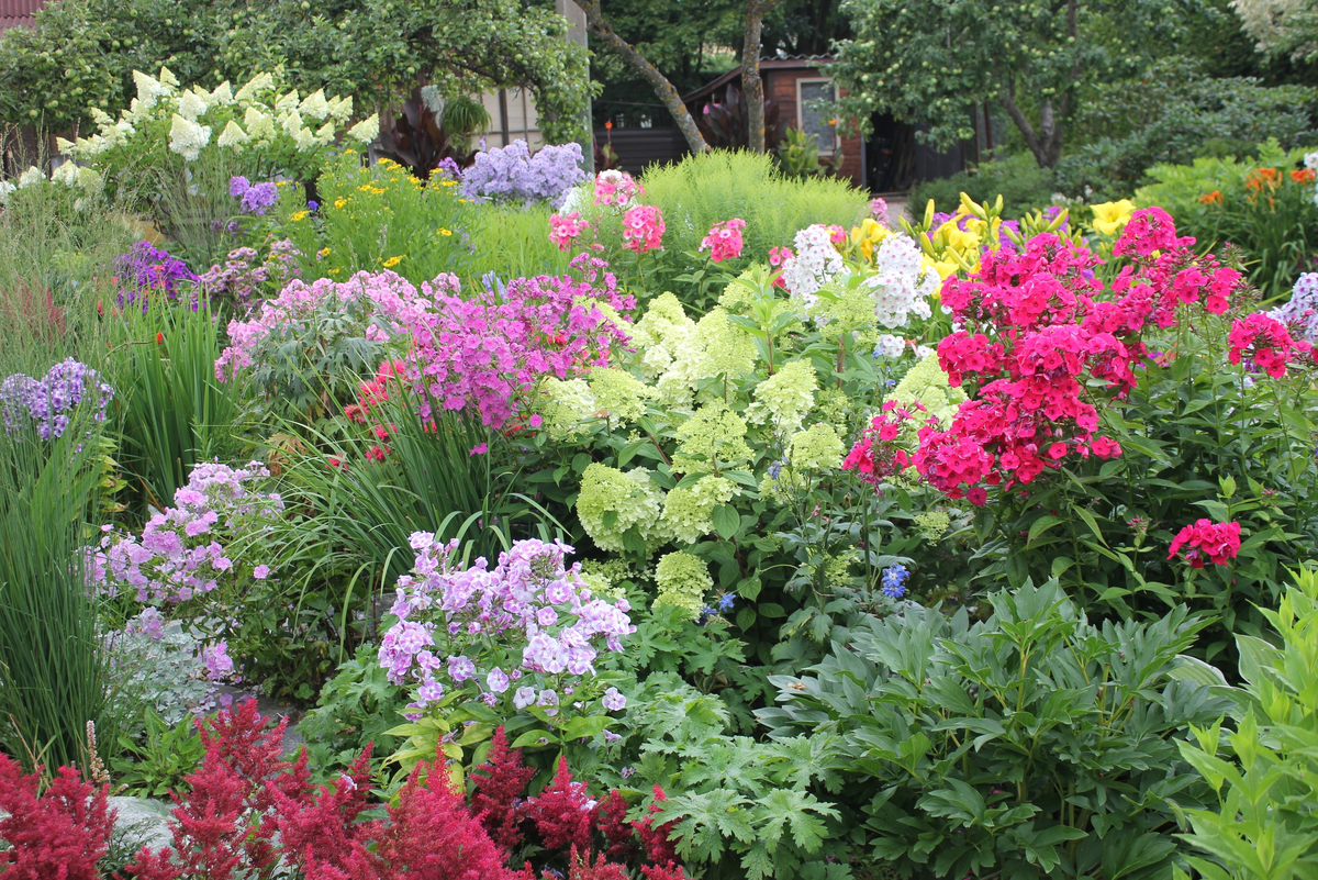 САД МУДРОГО САДОВОДА... Разукрасим ЖИЗНЬ свою ЦВЕТАМИ. Дзен