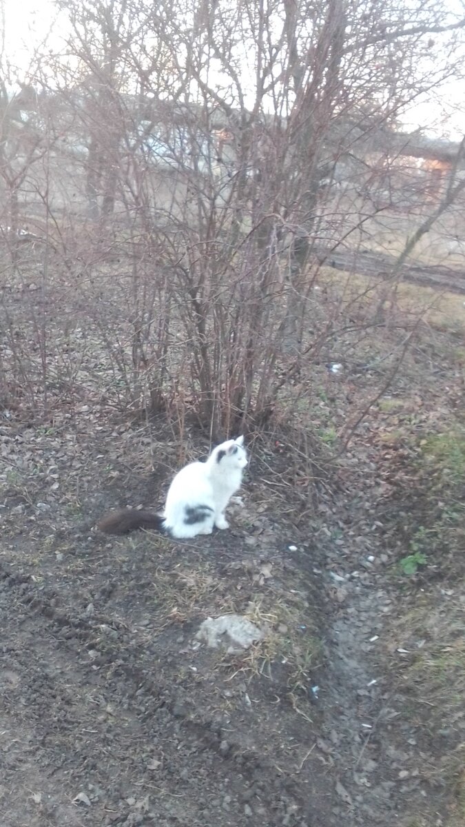 Фото сила - в знаниях