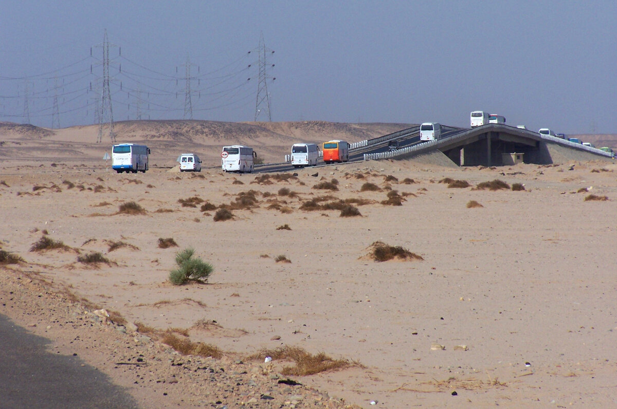 Караван туристических автобусов едет из Хургады в Луксор. После дождей вся эта пустыня превратилась в один огромный, бескрайний зеленый луг.