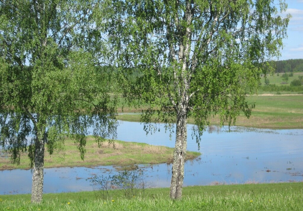 Ширь бескрайняя. "На все четыре стороны!" Фото автора