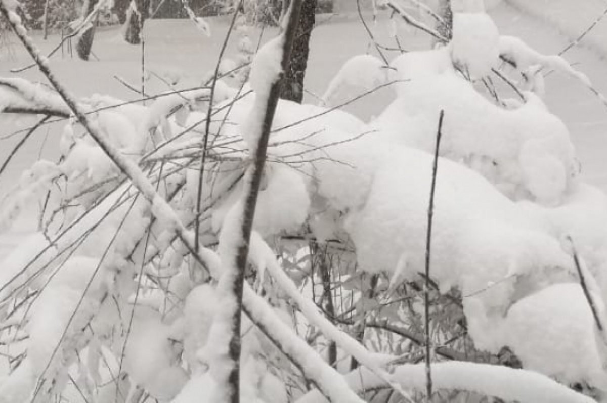    На севере Приангарья метели и снег, в Иркутск непогода придёт 31 марта