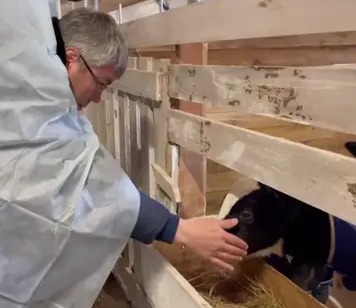 "взято из общего доступа"