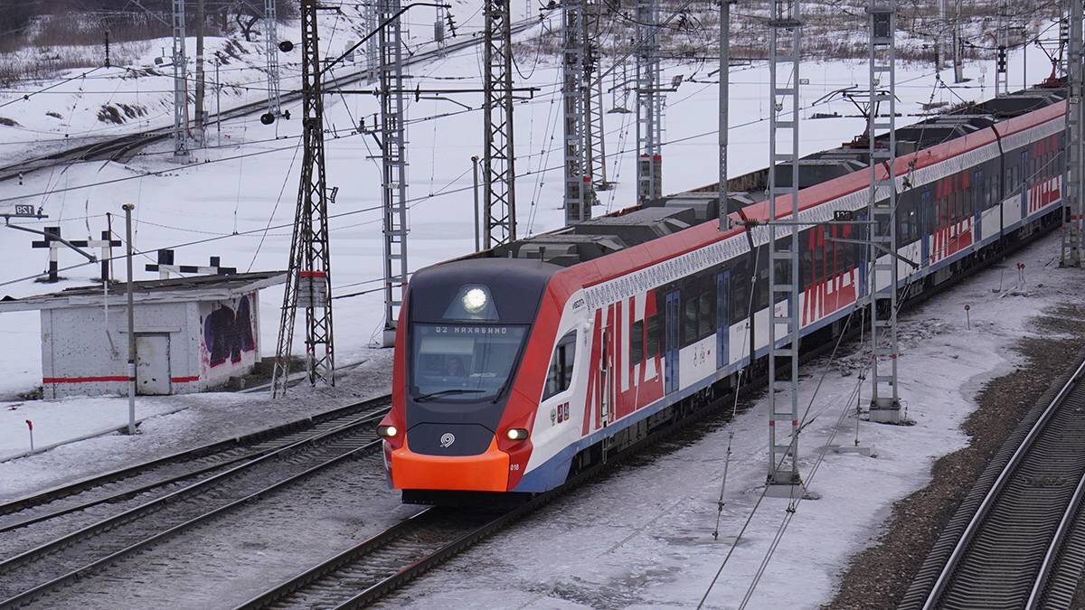    Фото: Анатолий Цымбалюк / Вечерняя Москва