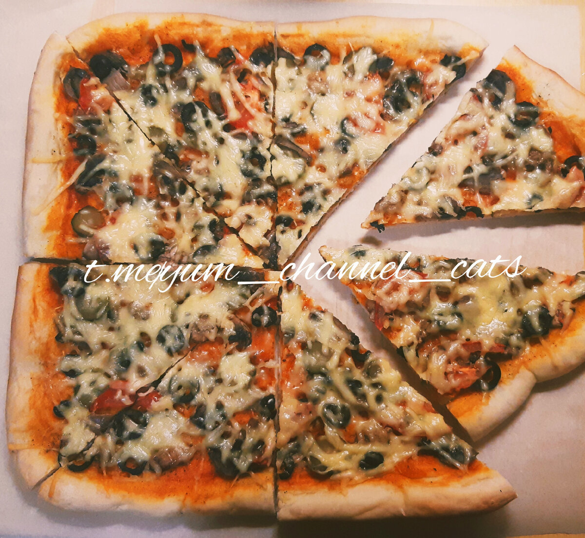 t.me/yum_channel_cats 