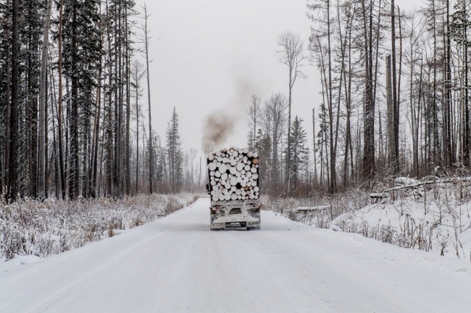     Автор фотографии: Гусейнов Виктор