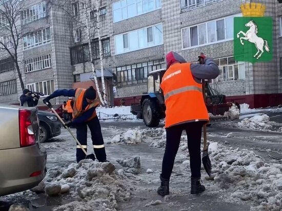     Фото: скриншот видео t.me/tomskadm70.