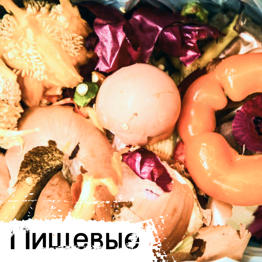 Пищевые отходы (остатки пищи, кормов...)