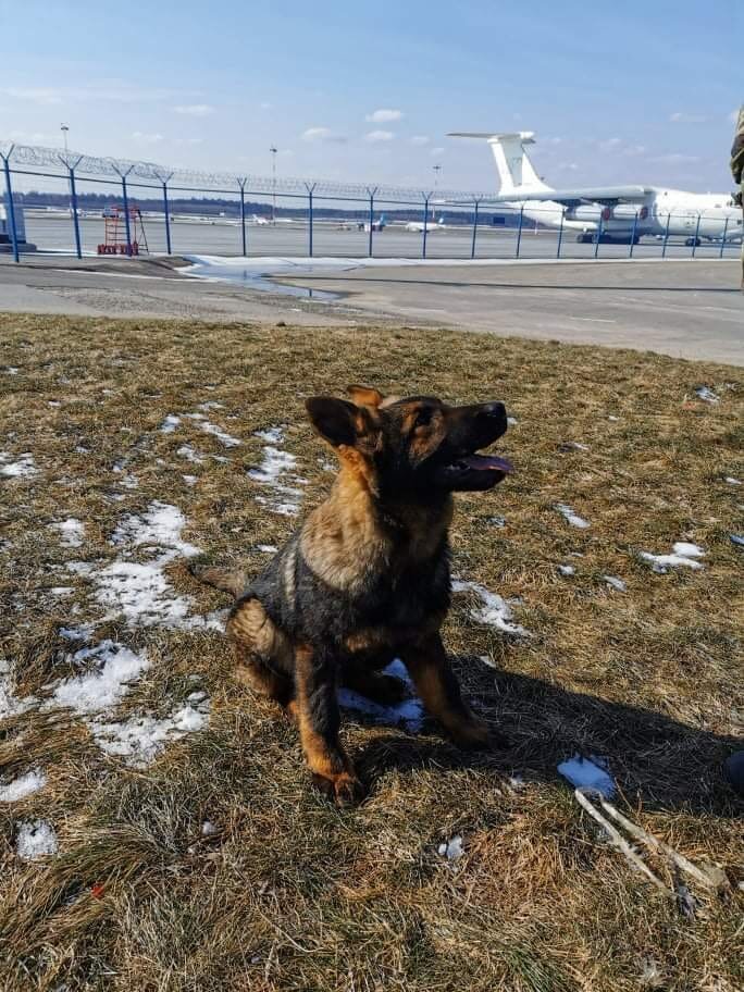 На отправке в аэропорту Минск-1