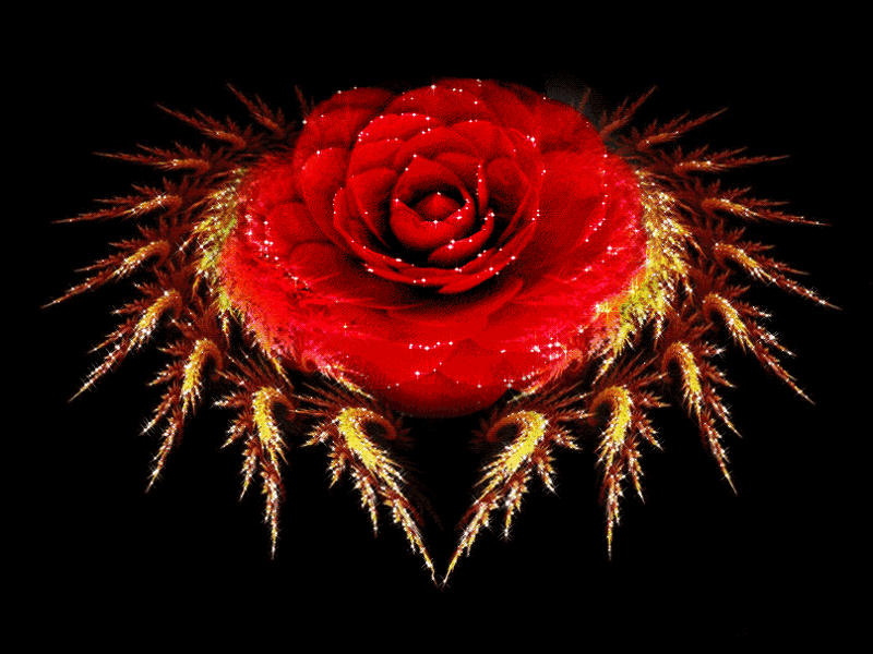 Без названия. Источник: Яндекс Картинки