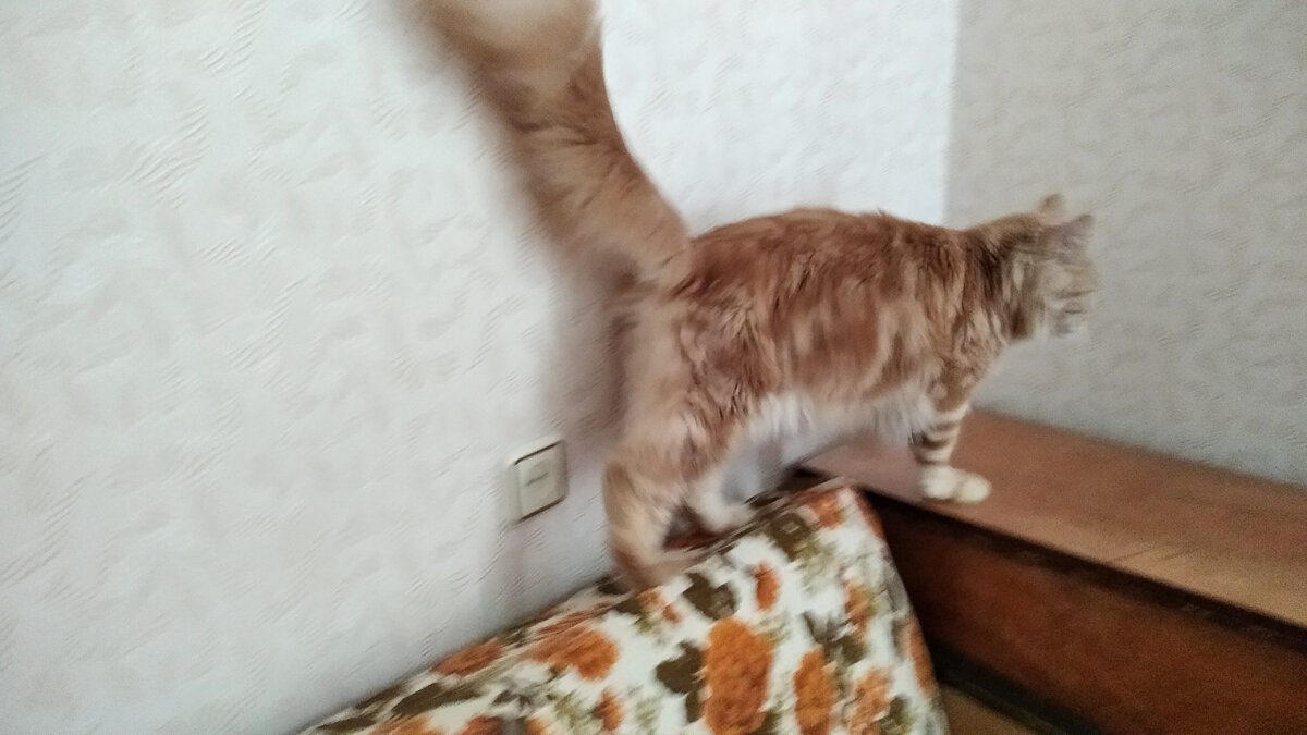 Пр-равильно идёшь, пр-равильно ))