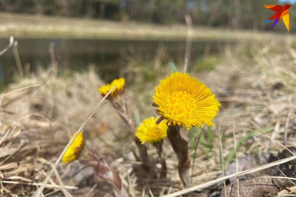    День Алексея Теплого отмечают 30 марта. Фото: архив «КП»