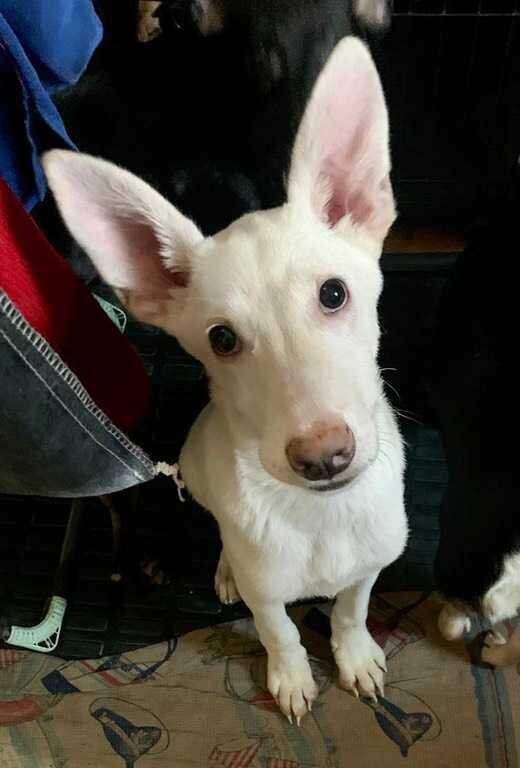 Кому СЧАСТЬЕ такое в дом???