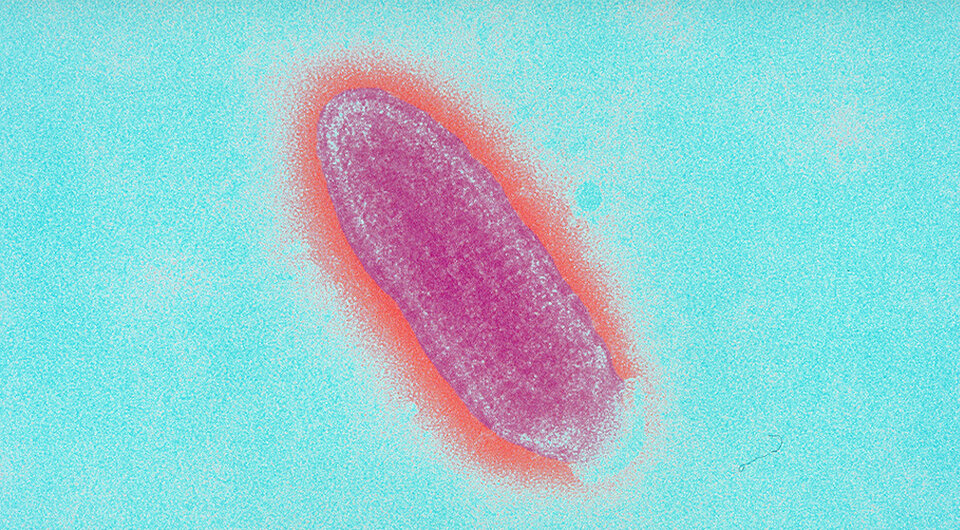   Sanofi Pasteur / Flickr