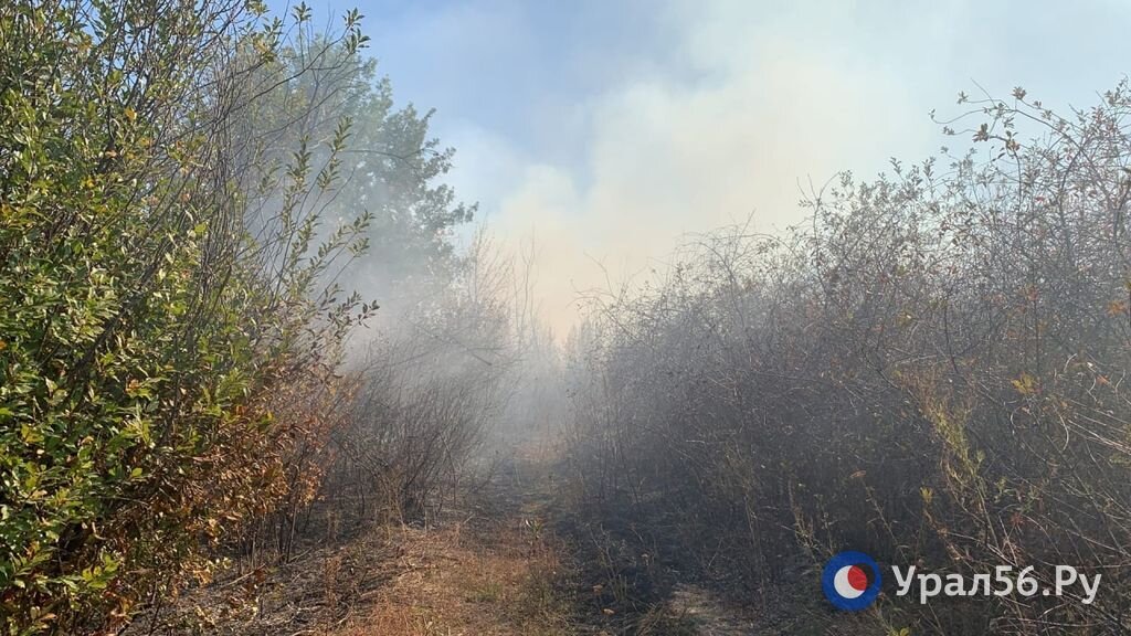    Куда разместят жителей поселков Орска в случае пожаров? Определен список мест