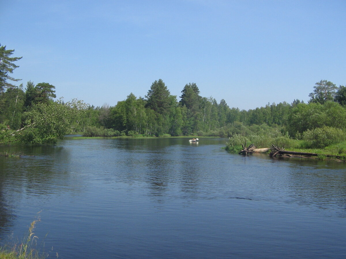 Пейзаж, Мещёрский край, сосны