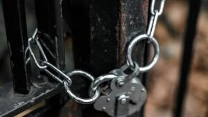    Фото: Anastase Maragos / unsplash.com Артем Верейкин