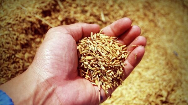    © Photo : Pexels / icon0.com