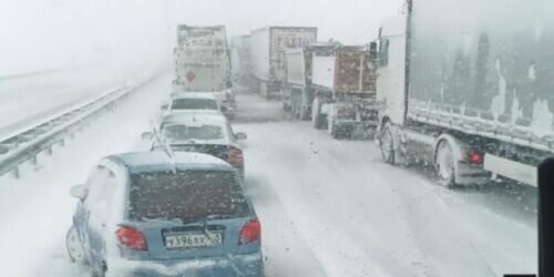 Фото: «Блокнот Ростов» (https://s0.bloknot-rostov.ru/thumb/850x0xcut/upload/iblock/c0d/2fmhh8yuupyg1v3g1r818vv40pxiv12n/WhatsApp-Image-2023_03_30-at-18.09.54.jpeg)