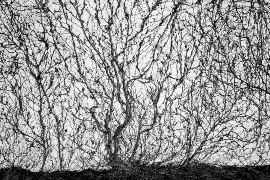     Фото: Jean Gaumy