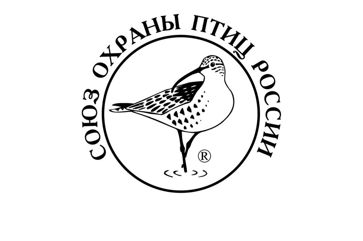 охраняйте птиц. охраняйте птиц рисунок. охраняйте птиц. охрана птиц для дошкольников. союз охраны птиц россии эмблема.