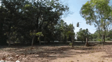   Nan Chen et al. / Science Robotics, 2023