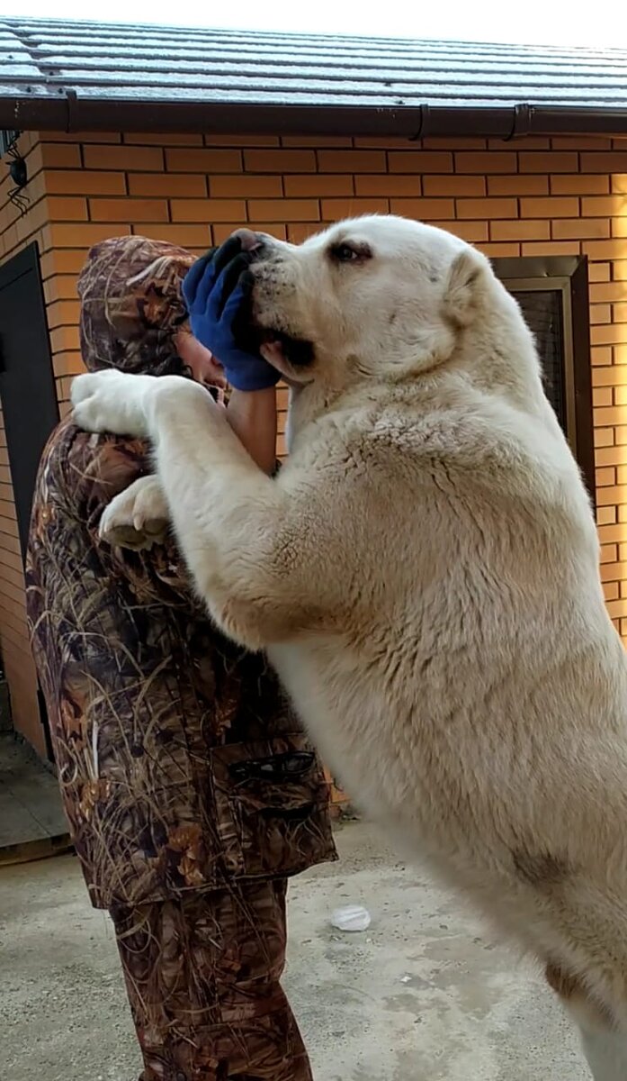 команда "Вверх!"