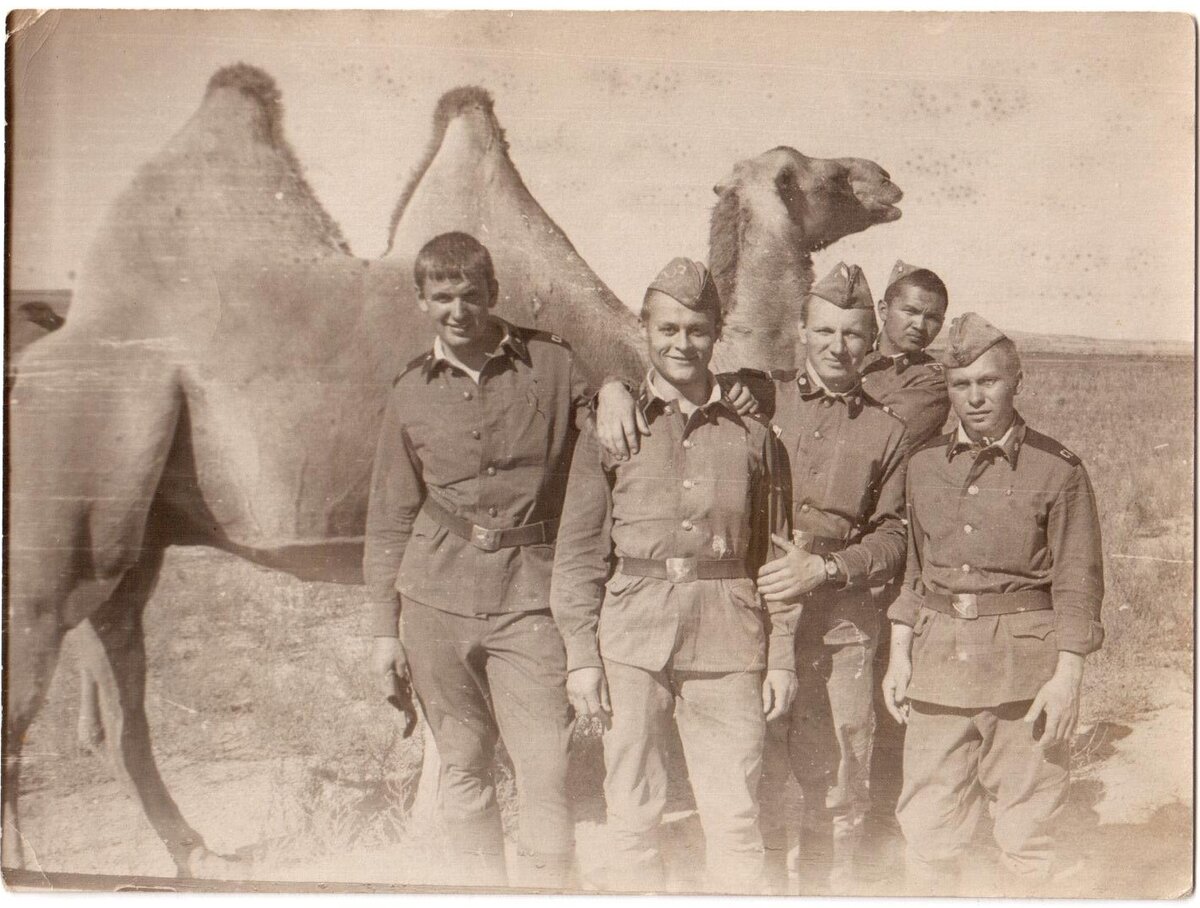 корабль пустыни...