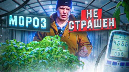 УРА я успел и уже 30 марта высадил томаты в теплицу! регион Москва