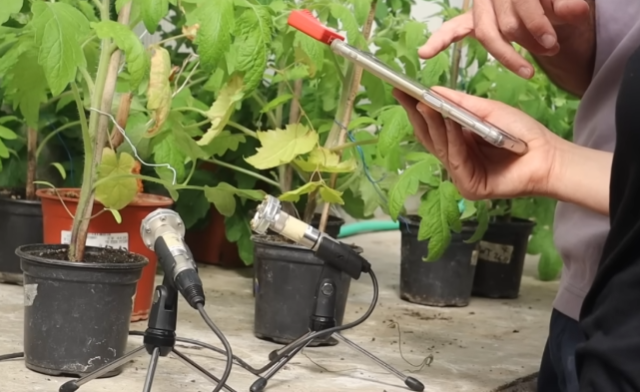 Фото: https://youtu.be/hOWaXi0I2YE