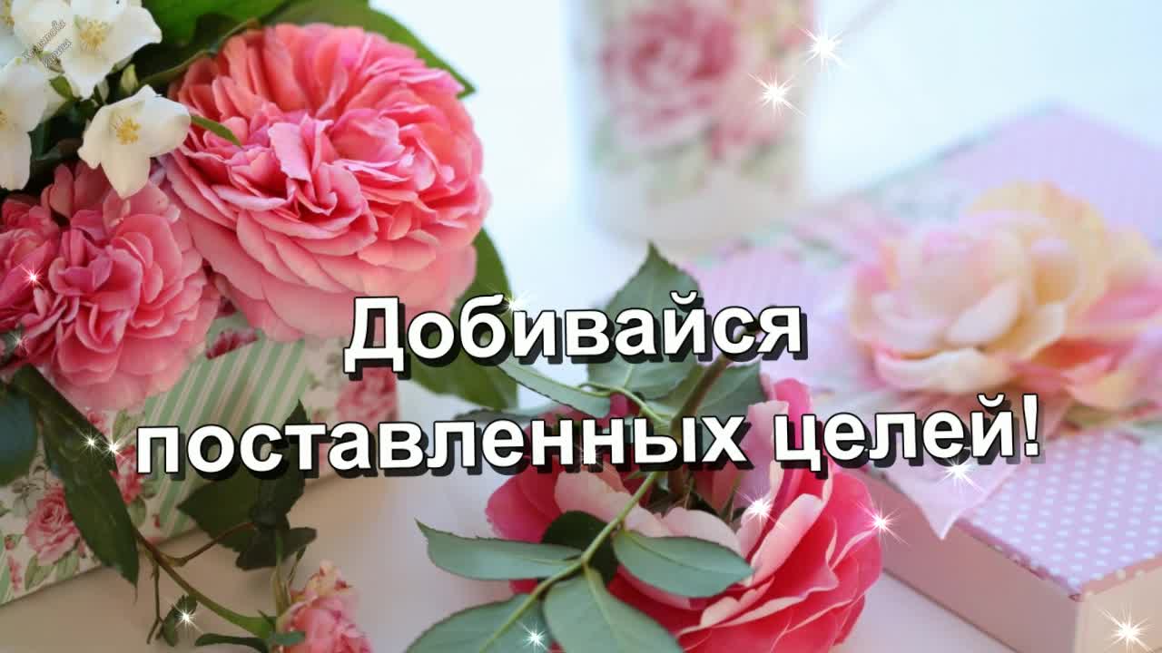 Видео открытка с днем рождения племянницы- Скачать бесплатно на irhidey.ru