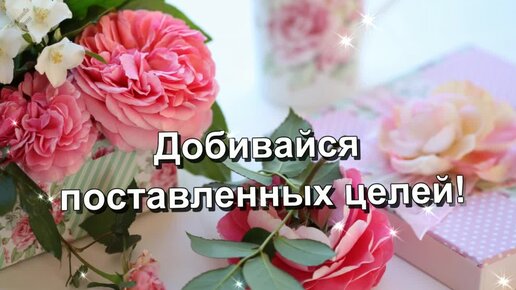 Открытки с Днём рождения племяшке (54+ картинки)