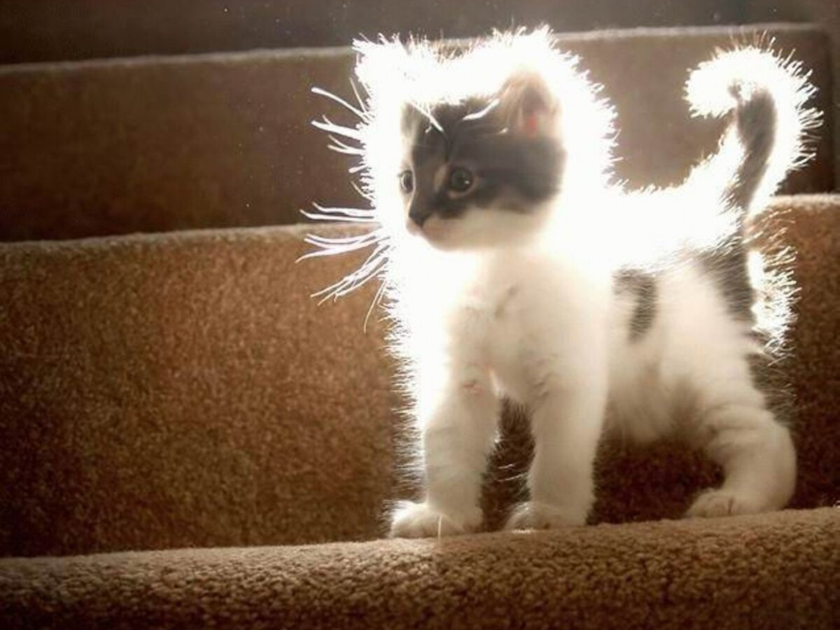 Ставьте лайк и подписывайтесь на мой канал:)🥰