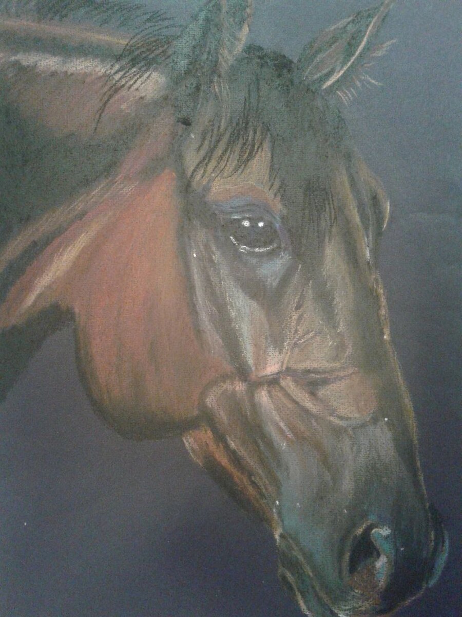 Лошадь. Художественная пастель. Рисунок автора))) Зацените.