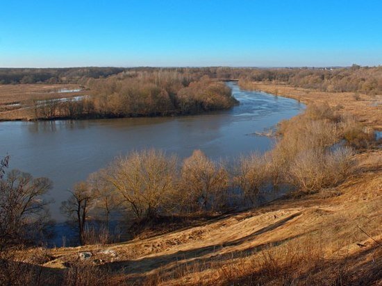     Фото: телеграм-канал «Курская область»