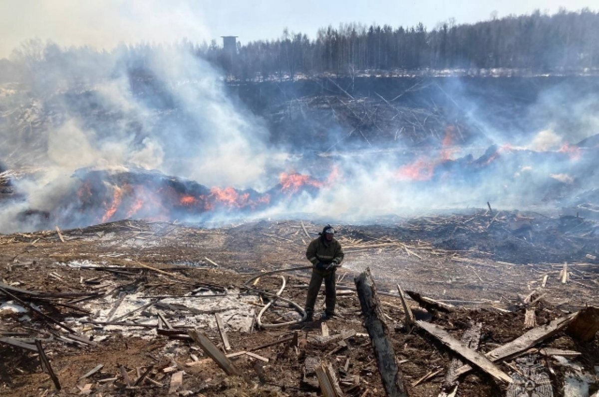    Площадь пожара за несколько дней выросла в десять раз.