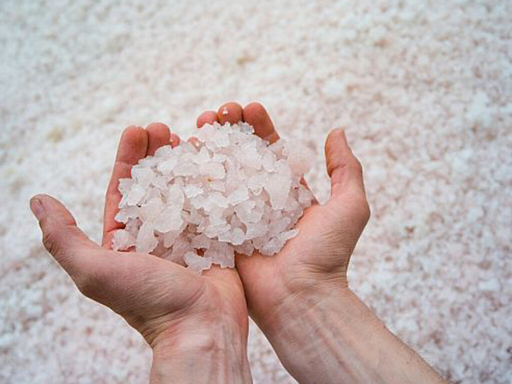 Фото из интернета.