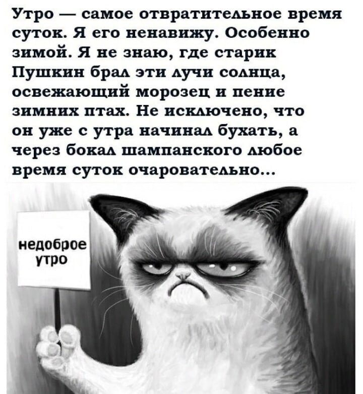 фото из открытых источников Яндекс