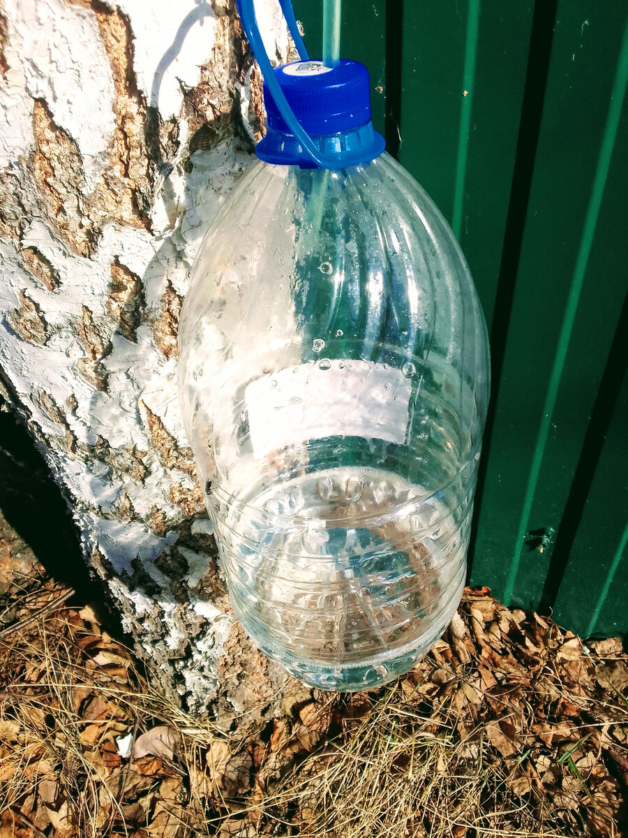 С солнечной стороны набирается в два раза быстрее.