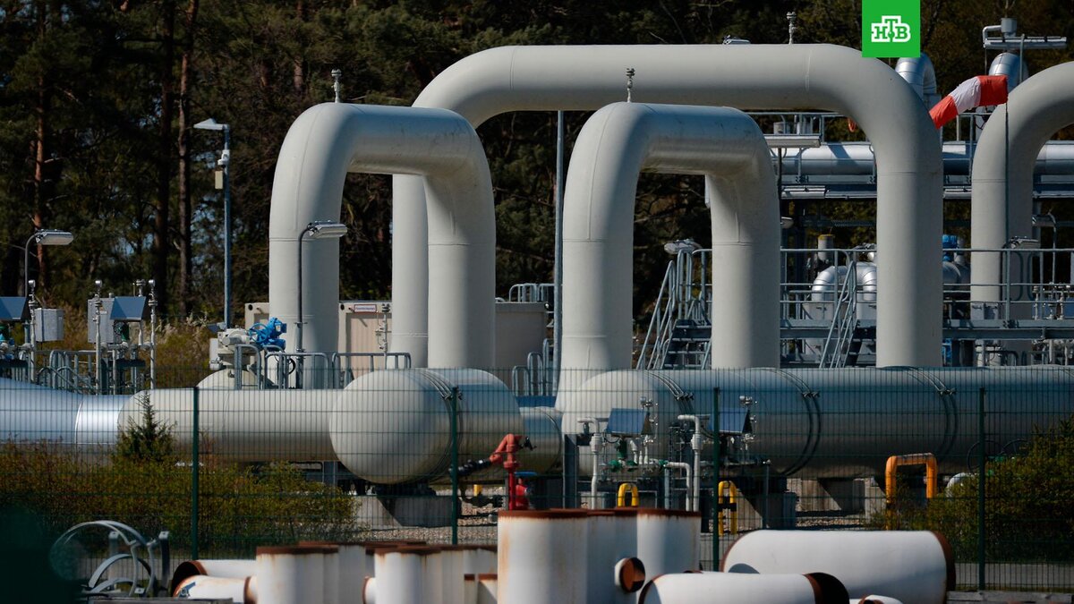    Фото: РИА Новости © 2023, Алексей Витвицкий