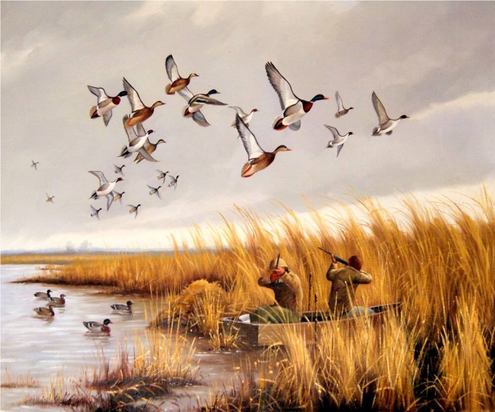 Яндекс-картинки