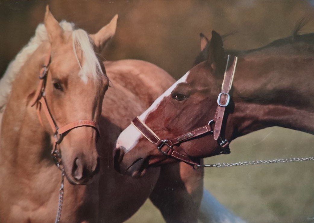 Фото автора. Открытка, полученная мной 