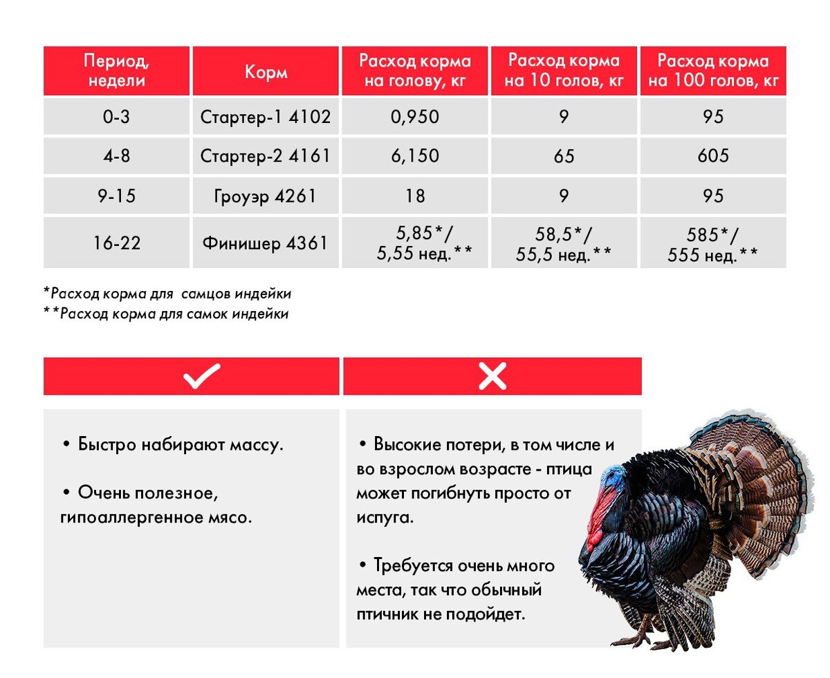 Какую птицу выгоднее всего разводить в ЛПХ? | ПРОФИ своего дела | Дзен