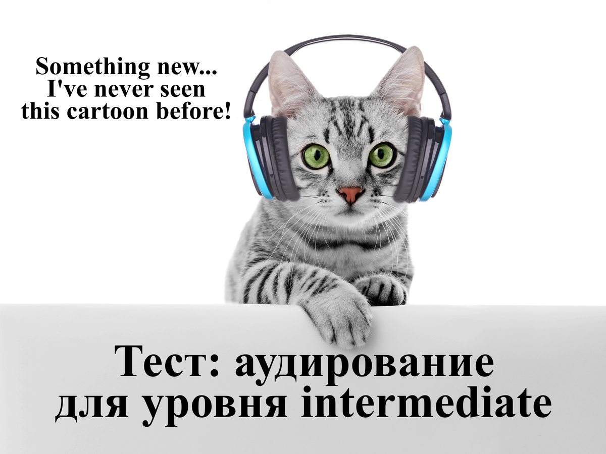 Тест: аудирование для уровня intermediate | English Cats | Дзен